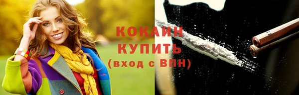 шишки Балахна