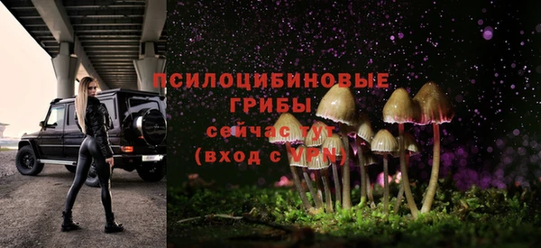 apvp Балабаново