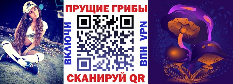 купить наркотик  Светлогорск  Галлюциногенные грибы мухоморы 